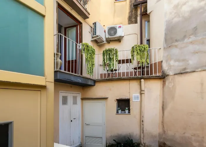 Carmen E Paul Sorrento